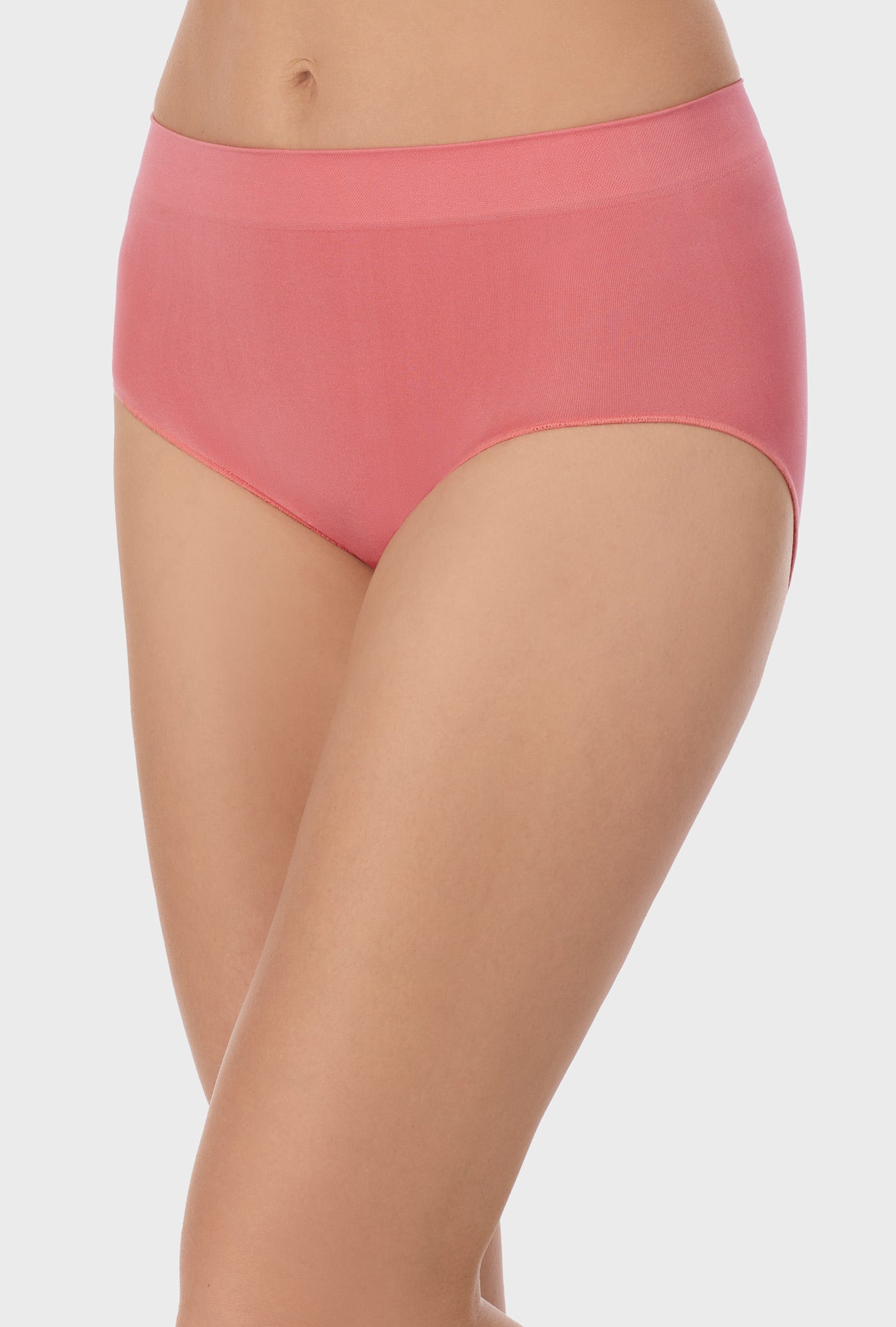 Carole Hochman Women's Underwear Silky Soft Seamless Full Coverage Modern Brief  Panties 5 Pack Multipack Regular & Plus Sizes - Small 